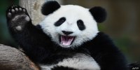 test Image