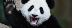 Test To Delete