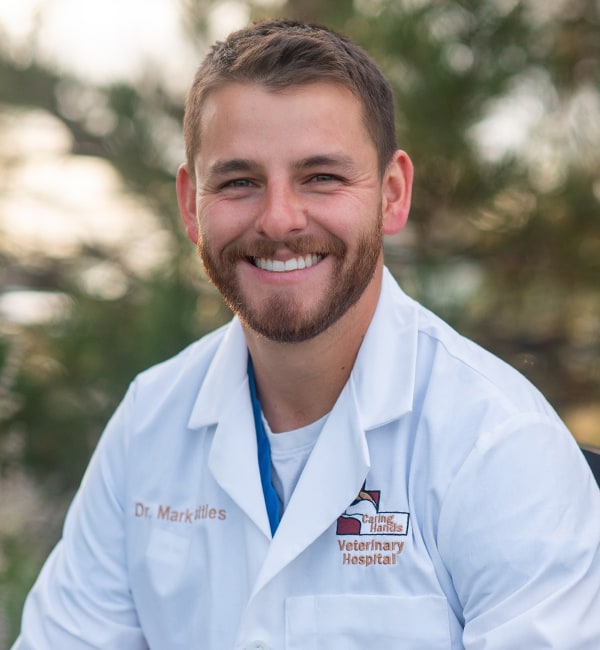 Meet Dr. Mark Battles, Thornton Veterinarian