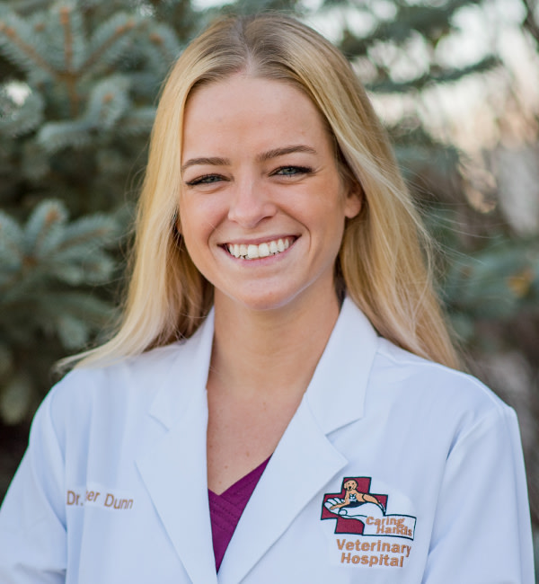 Meet Dr. Dunn, Thornton Veterinarian