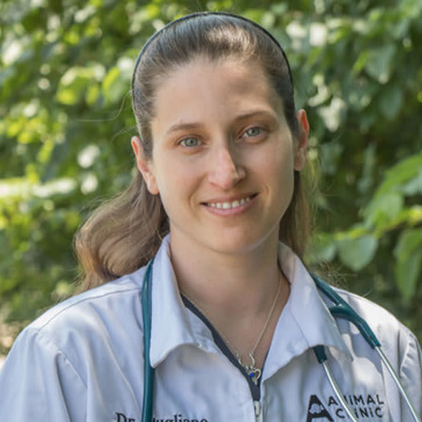 Meet Dr. Sarah Pugliano, Fort Worth Veterinarian