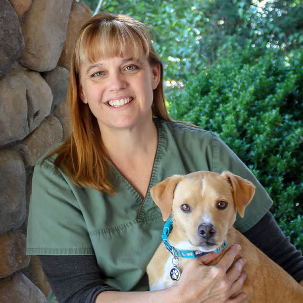 Meet Kim Morris, Taylor Veterinary Emergency Head Veterinary Technician