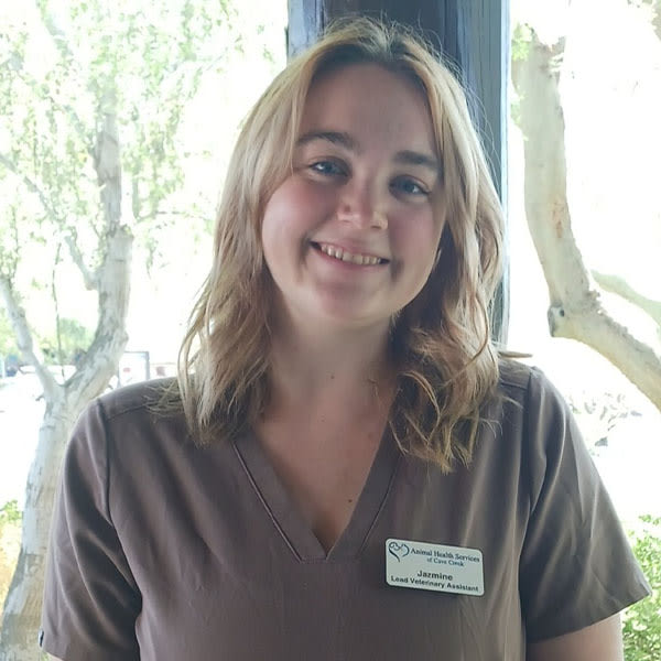 Meet Jazmine Brown Cave Creek Lead Veterinary Assistant