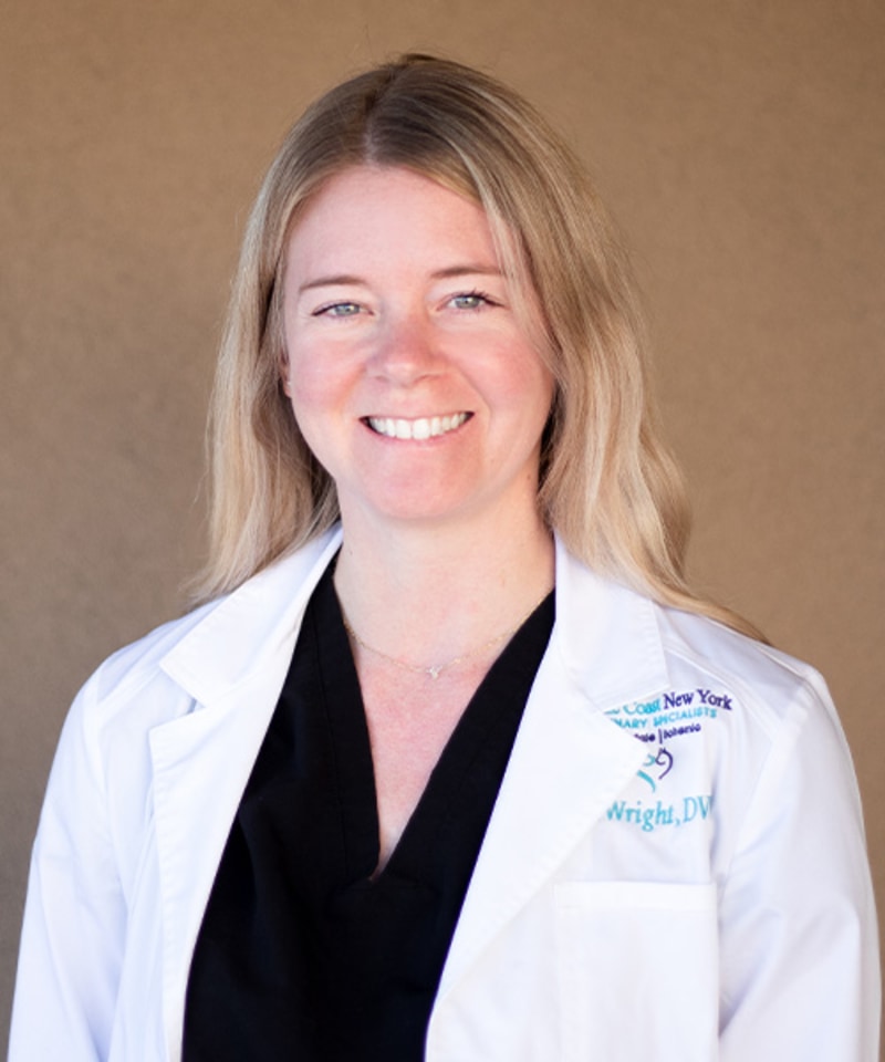 Dr. Lindsay Wright Atlantic Coast New York Veterinary Specialists