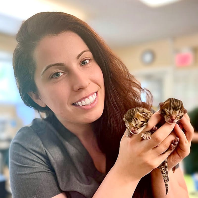 Meet Dr. Caitlin Forbes, Milton Veterinarian