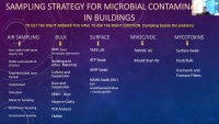 Mold Investigation: 101