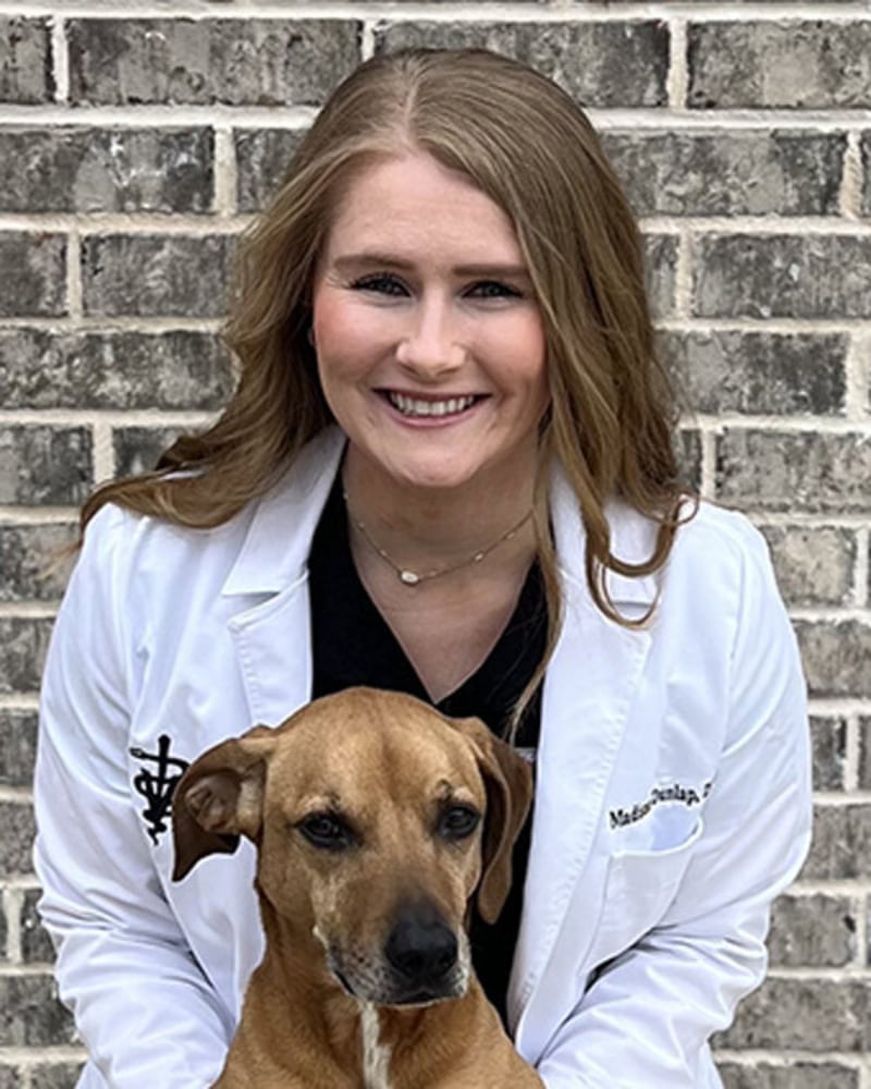Madison Dunlap, DVM Memphis Veterinary Specialists & Emergency