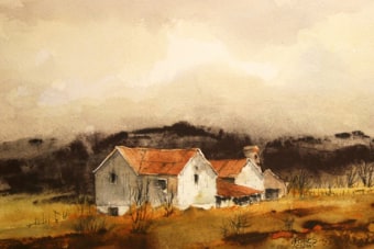 David Greaves #1