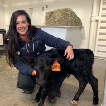 Dr. Shawna Sartain, Wichita Veterinarian