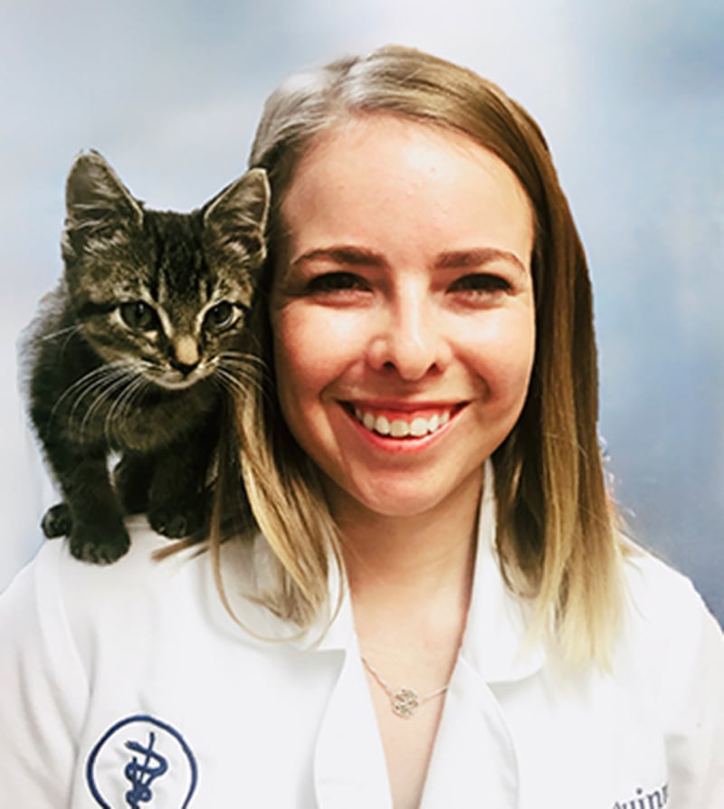 Dr. Naomi Quinn