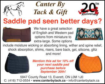 Canter by Tack