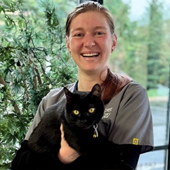 Sarah, Norristown Veterinary Assistant