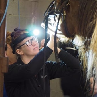 Dr. Clare O'Connor, Poulsbo Equine Veterinarian