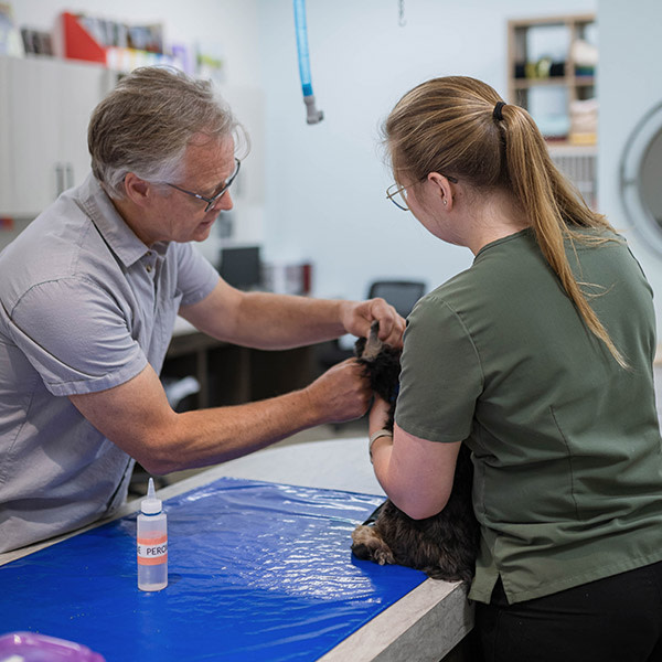 Dr. Mike Lavroff, Kelowna Veterinarian
