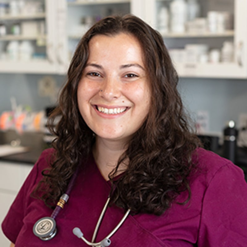 Dr. Emma Stillman
