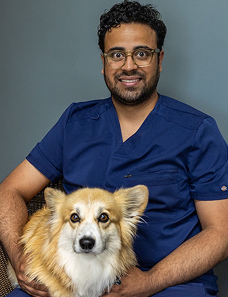 Dr. Tauseef Shah