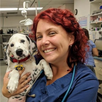 Dr. Val, Cumming Veterinarian