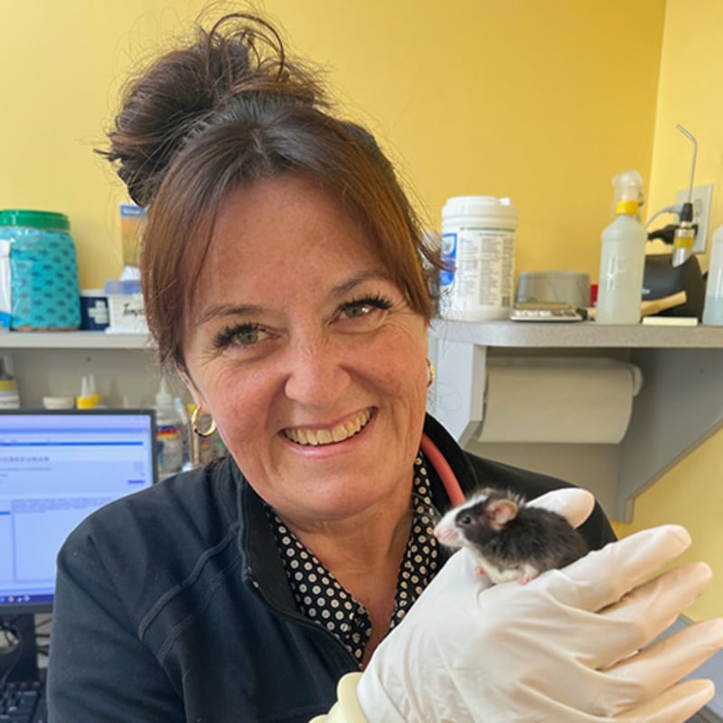 Dr. Cynthia Brown