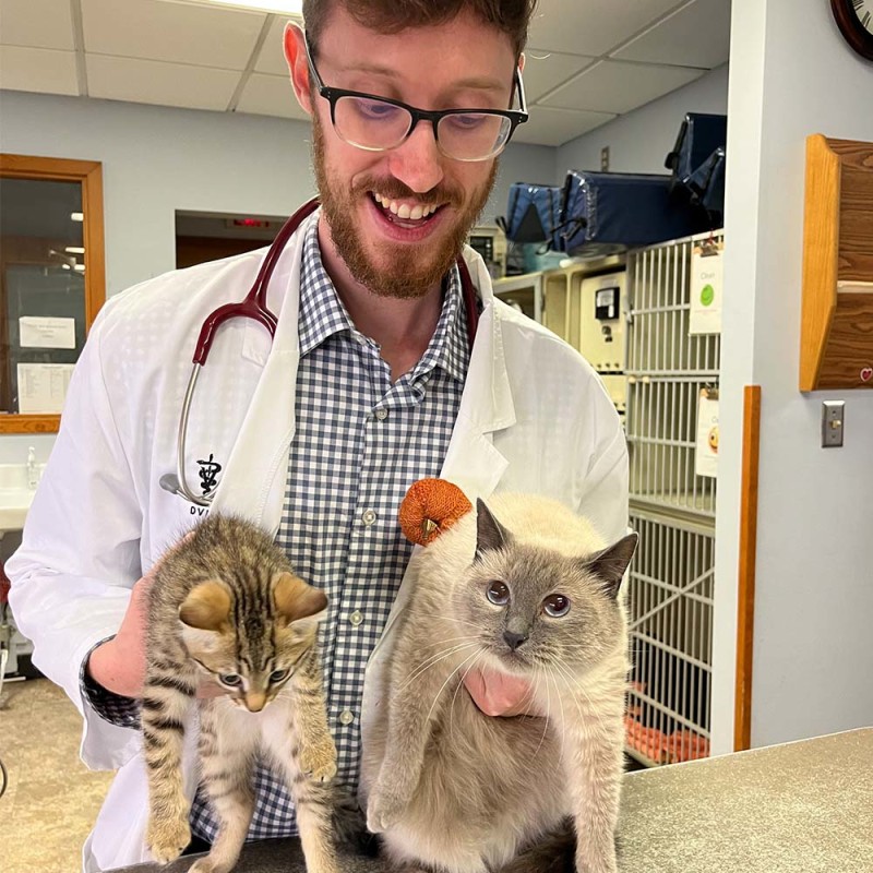 Dr. Matthew Turner