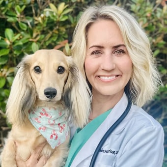 Dr. Michelle Morrison, Rock Hill Veterinarian
