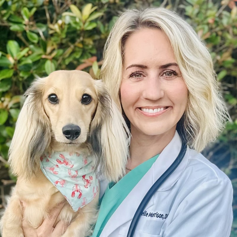 Dr. Michelle Morrison
