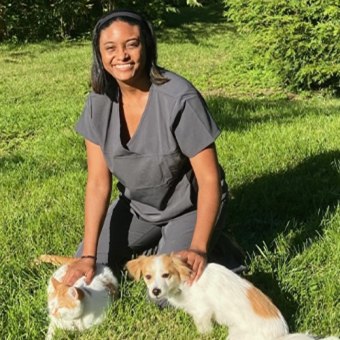 Dr. Shannon Knall, Toledo Veterinarian