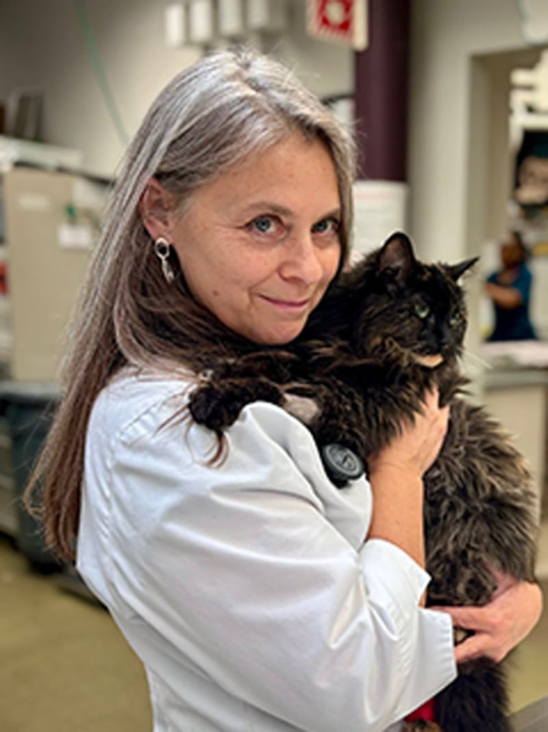 Dr. Jean Ferreri