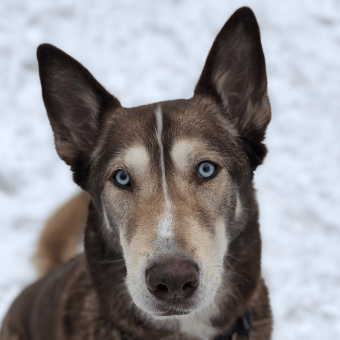 Lisa, Parry Sound Customer Service Representative