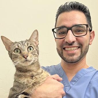 Dr. Saman Partow Navid, Tucson Veterinarian