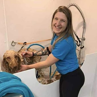 Violet, Picton Groomer