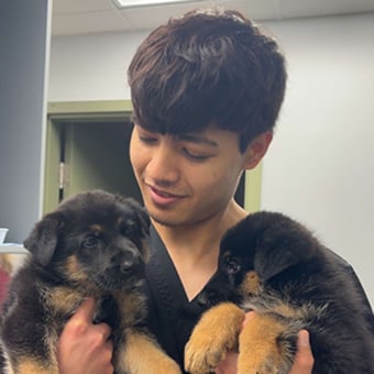 Rajan, Timmins Veterinary Assistant