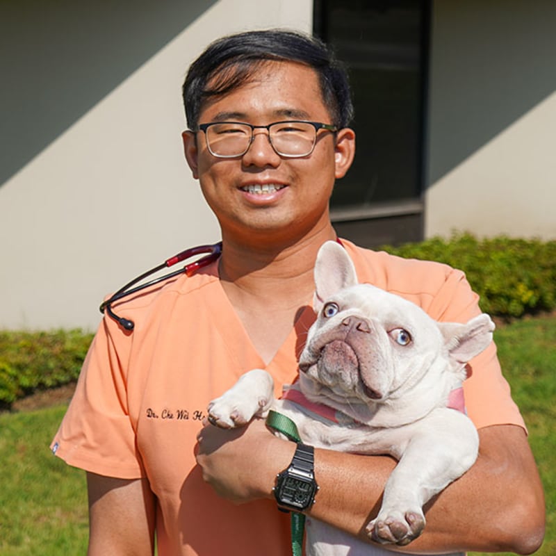 Dr. Jacky Hsu