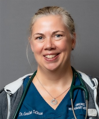 Dr. Caroline de Haan, DVM Omemee Veterinary Hospital