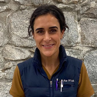 Dr. Veronika Pak, Nelson Veterinarian