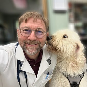 Dr. Michael Hayden, South Charlotte Veterinarian