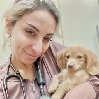 Dr. Sara Karandish, West Chester Veterinarian