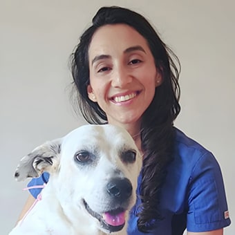Anna Cortes | Kanata Veterinary Technician