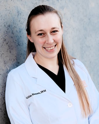 Gillian Henson, Memphis Veterinary Specialists Emergency Veterinarian