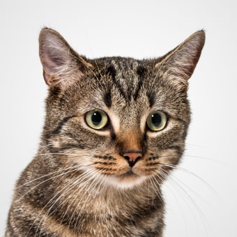 Sasha, Westfield Receptionist