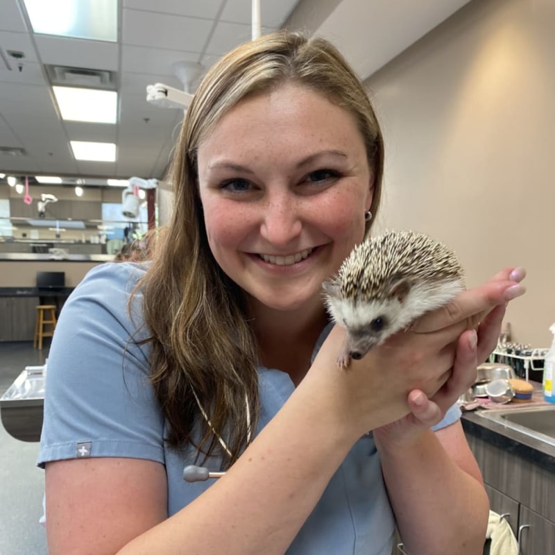 Dr. Madelyn Dolinsky