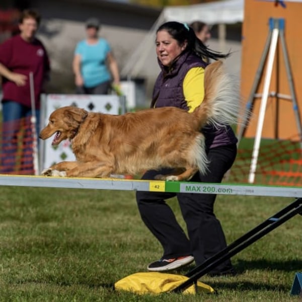 Dr. Natalie Villani <span>MS, DVM, DACVIM</span>