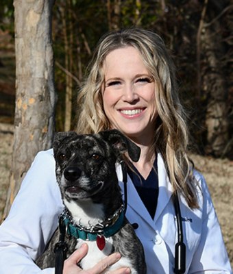 Dr. Melissa Irvin, Huntersville Veterinarian