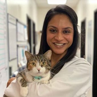 Dr. Neha Saija, Placentia Veterinarian