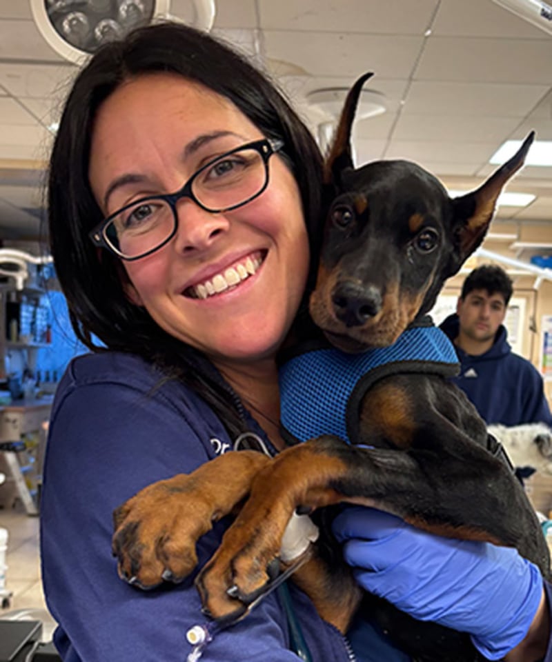 Amy Brida, DVM, DACVECC