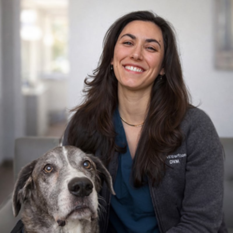 Dr. Marissa Robertson