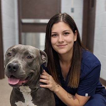 Ansley, Fayetteville Veterinary Assistant