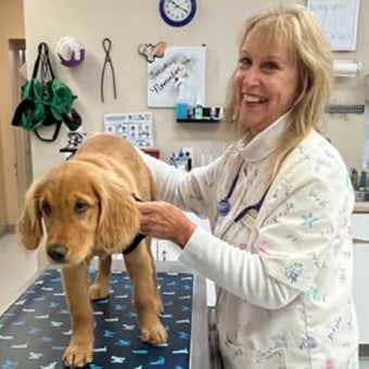 Dr. Marion Pennington, Somerset Veterinarian