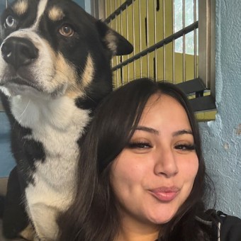 Lindsey L, Mamaroneck Animal Care Giver