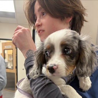 Alexis, Natick Veterinary Technician