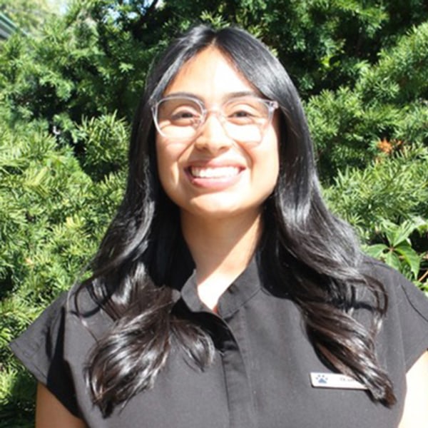 Dania, Thornhill RVT